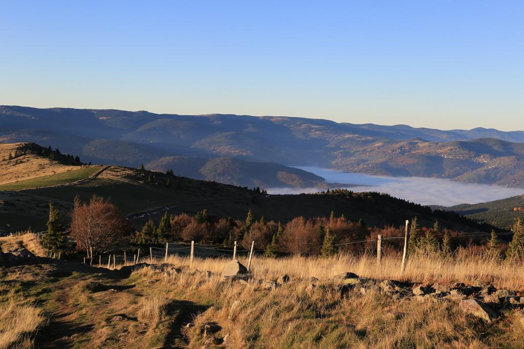 Le Holzberg Et Ses Suites Osenbach Exteriör bild