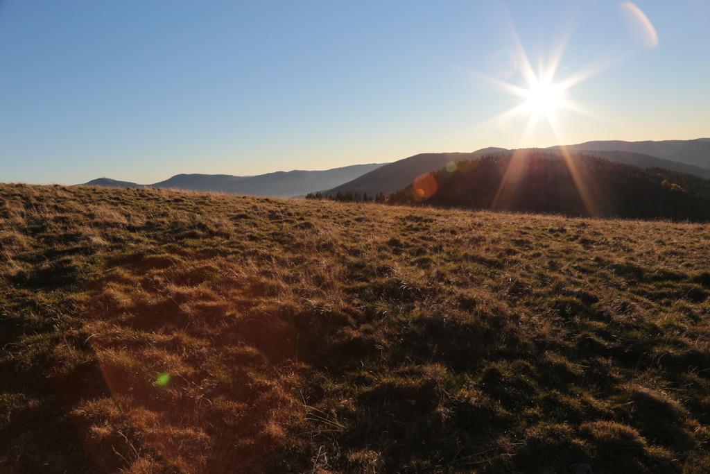 Le Holzberg Et Ses Suites Osenbach Exteriör bild