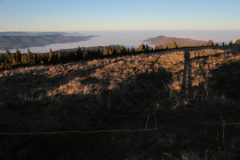 Le Holzberg Et Ses Suites Osenbach Exteriör bild