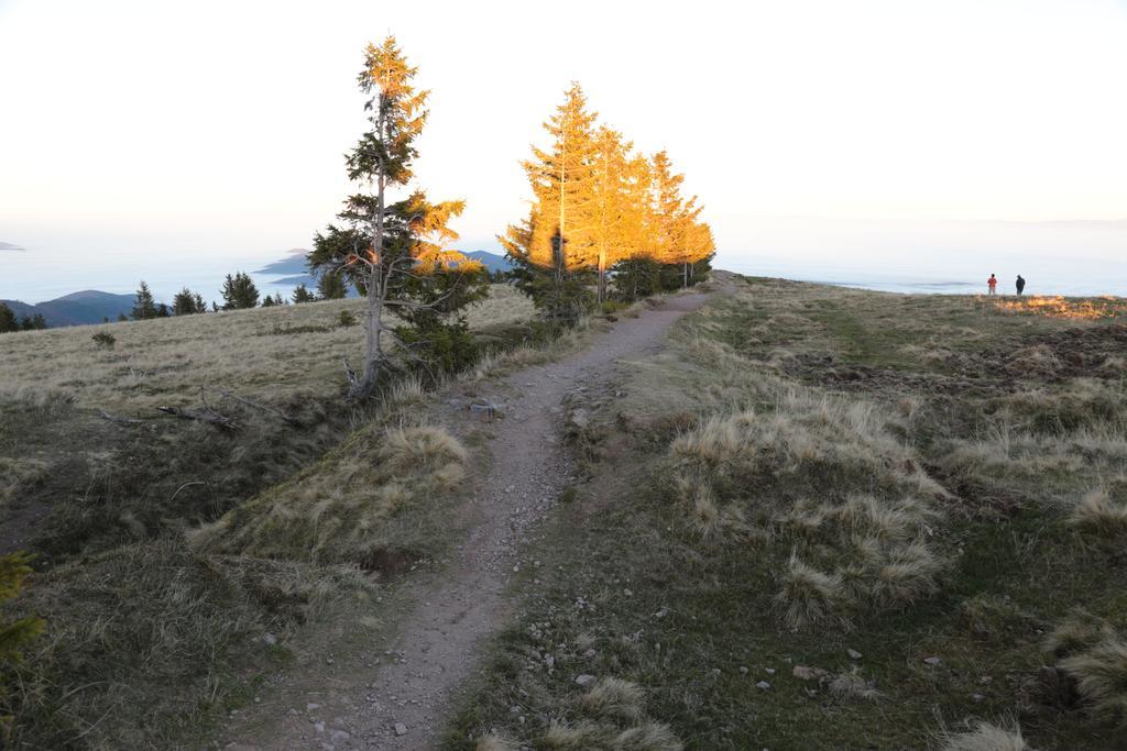 Le Holzberg Et Ses Suites Osenbach Exteriör bild